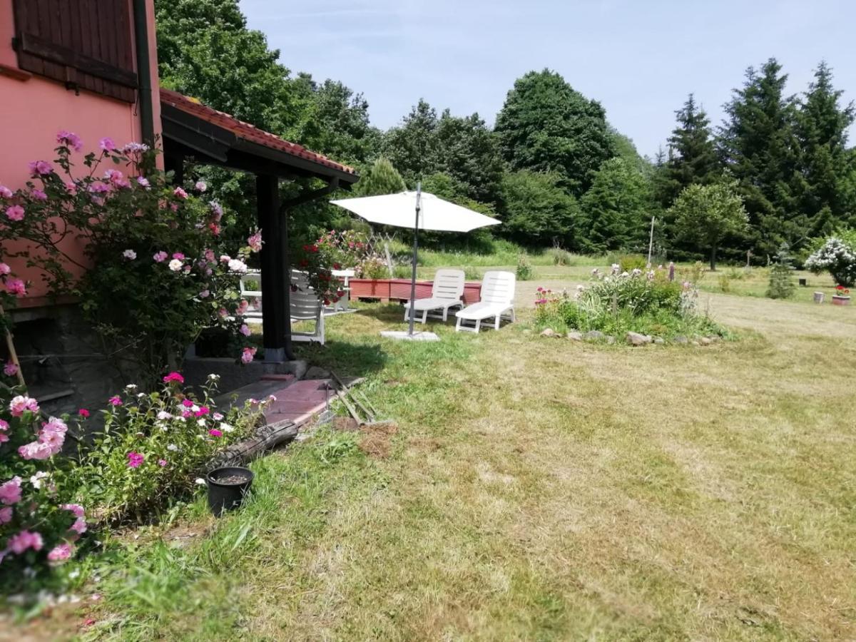 Il Pettirosso Di Giusvalla Exterior photo